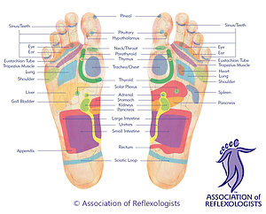 Reflexology. AORfootmapplantar.jpg